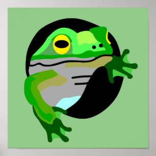 Póster Rana verde