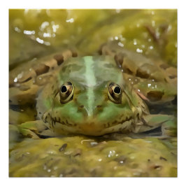 Póster Rana verde camuflada contra la cama del río Weathe