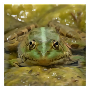 Póster Rana verde camuflada contra la cama del río Weathe