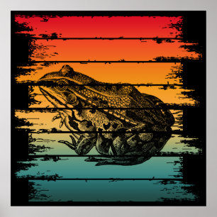 PÓSTER RANA VINTAGE
