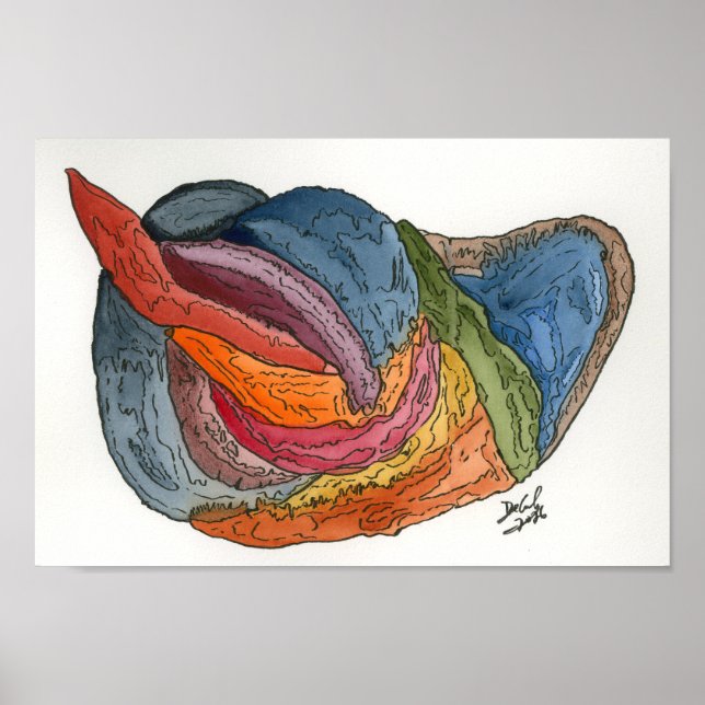 Póster Ranapolo (Frente)