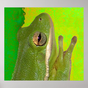 Póster ranas