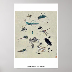 Póster Ranas, caracoles, e insectos