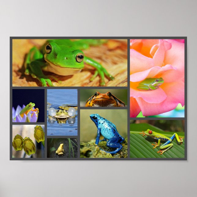 Póster Ranas coloridas, collage (Frente)