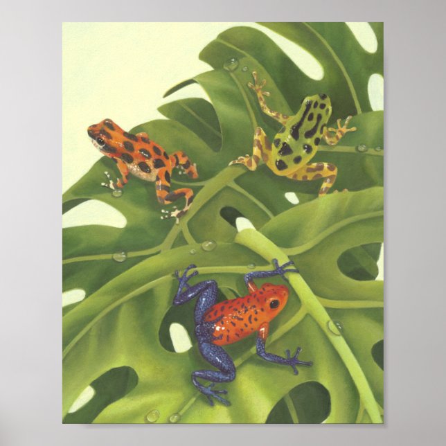 Póster Ranas Dart venenosas (Frente)