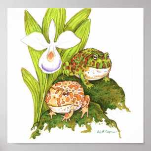 Póster Ranas de cuernos adornadas