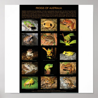 Póster Ranas de Poster de Australia