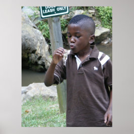 Póster Ranas de verano