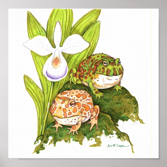 Póster Ranas Hornadas Ornadas (Frente)