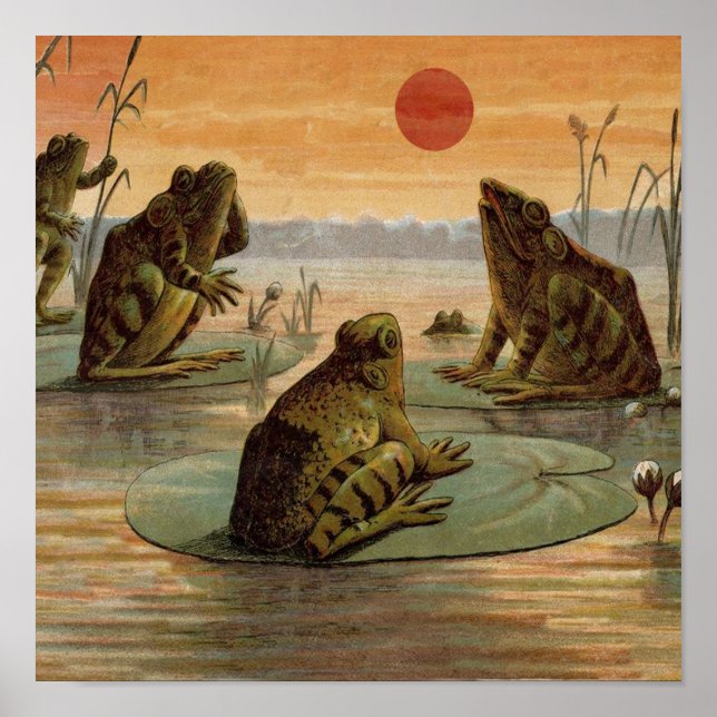 Póster Ranas Lily Pads Moon Ilustracion (Frente)