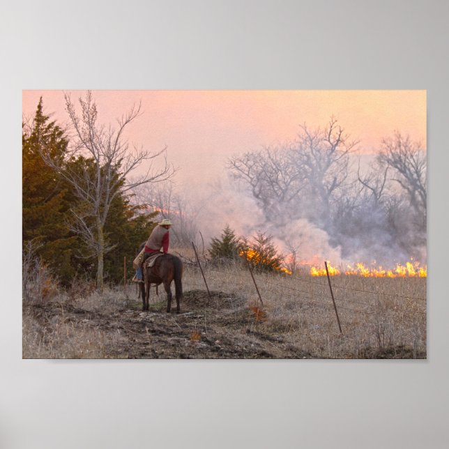Póster Rancher de Kansas viendo una quemadura de pradera  (Frente)