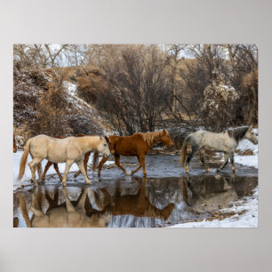 Póster Rancho de Caballos Hideout