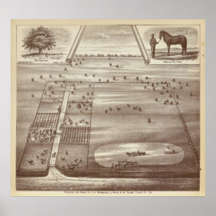 Póster Rancho de Oakdale