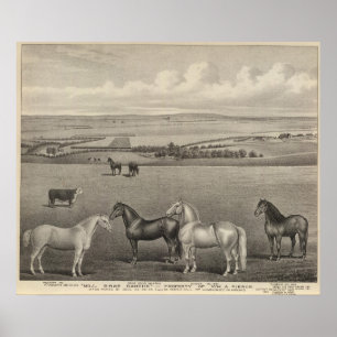 Póster Rancho del Brae del molino, Kansas
