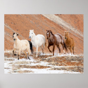 Póster Rancho Hideout con pequeño rebaño de caballos en l