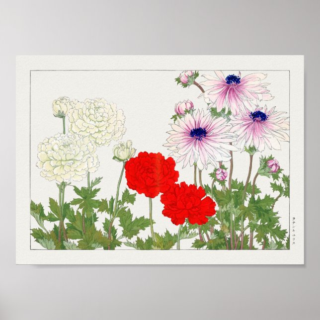 Póster Ranunculus de Tanigami Konan (Frente)