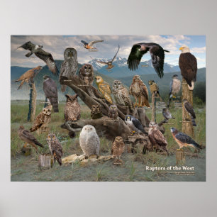 Póster Rapaces del 2019 del oeste