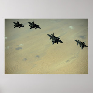 Póster Rapaces F-22