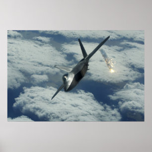 Póster Rapaz F-22