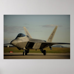 Póster Rapaz F-22