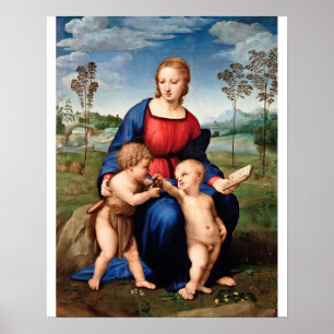 Póster Raphael - Madonna De Goldfinch