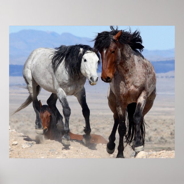 Póster Rápido y Furioso (Frente)