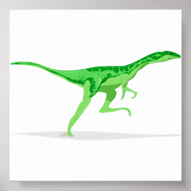 Póster Rapter Poster (Frente)