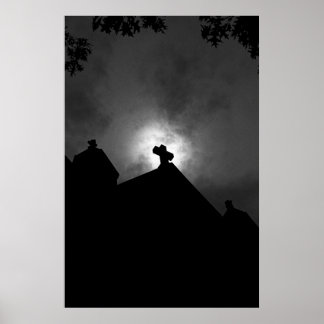 Póster Rapto