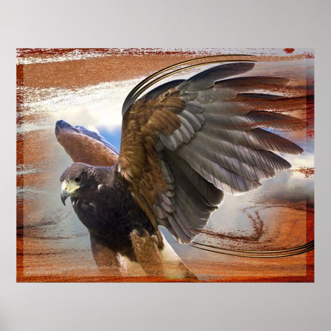 Póster Raptor (Frente)