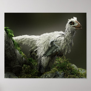 Póster Raptor con plumas