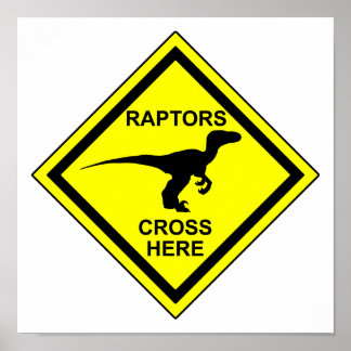 Póster Raptores - Poster