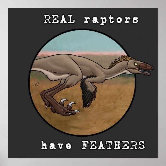 Póster Raptores reales (Frente)