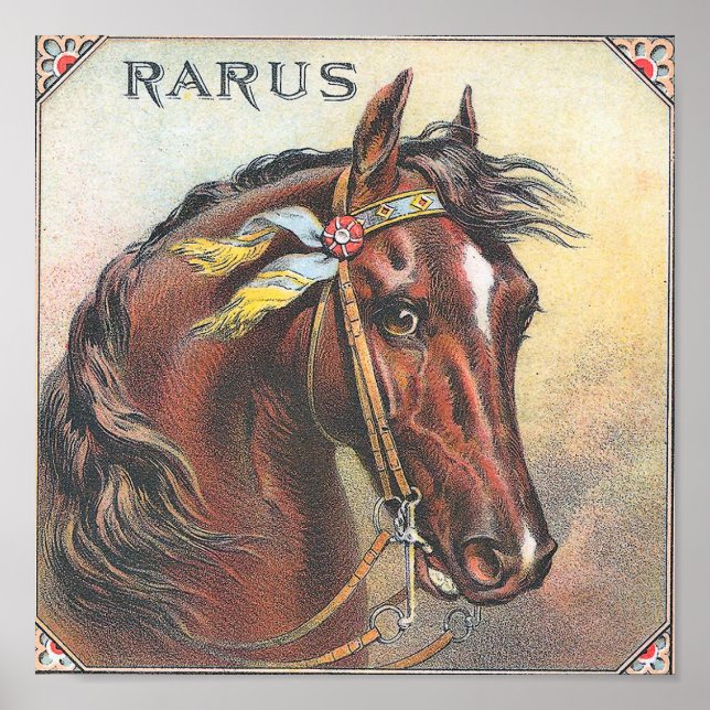 Póster Rarus Vintage Racehorse Portrait (Frente)