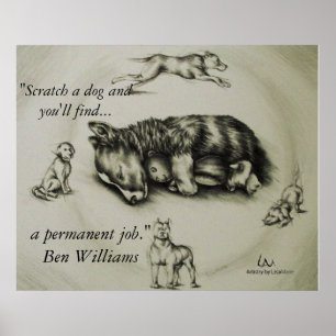 Póster Rasguñe un perro - poster el dormir del perro