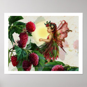 Póster Raspberry