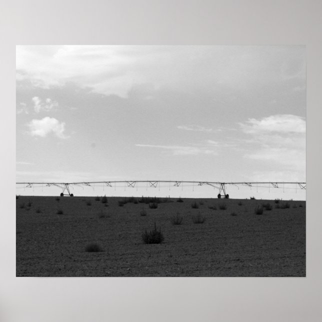 Póster Rasplante de riego de granjas blancas y negras en  (Frente)