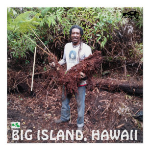 PÓSTER RASTA FARMER CON HAPUU FERN