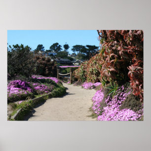 Póster Rastro de la playa de Monterey, foto de la