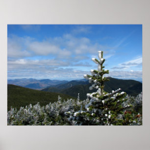 Póster Rastro del Mt. Marcy