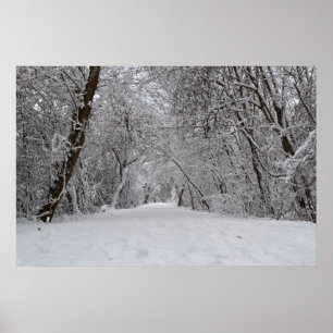 Póster Rastro Nevado