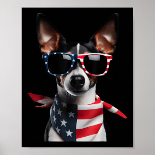 Póster Rat Terrier Dog 4 De Julio Independencia Estadouni
