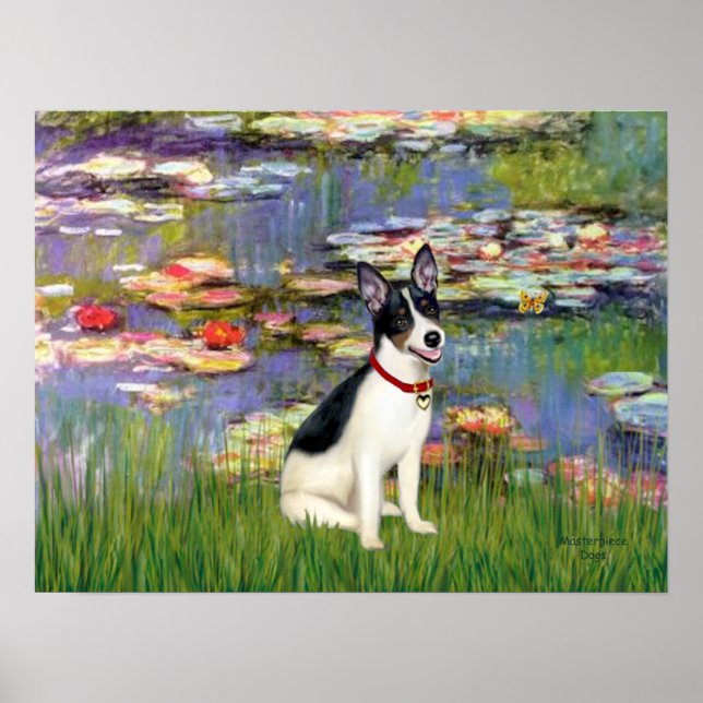 Póster Rat Terrier - Lilies 2 (Frente)