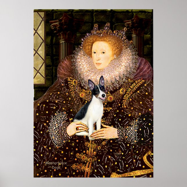 Póster Rat Terrier - Reina (Frente)