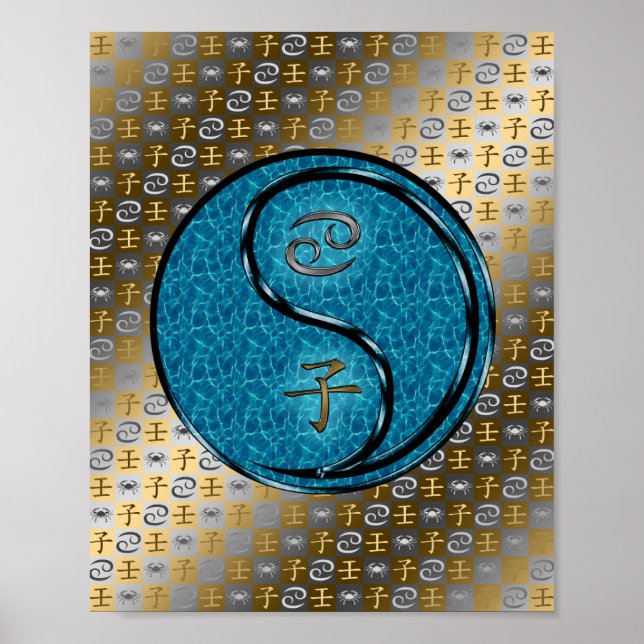 Póster Rata de Cáncer y Agua (Frente)