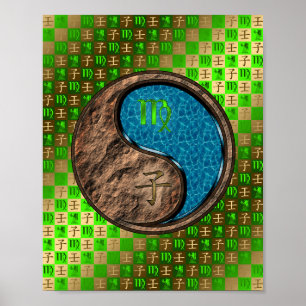 Póster Rata de Virgo y Agua