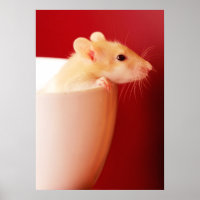 Rata del bebé