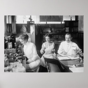 Póster Ratas de laboratorio, 1912