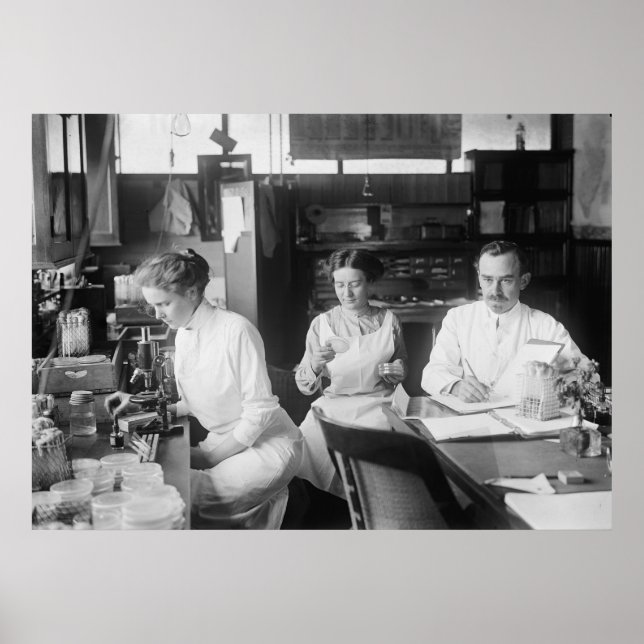 Póster Ratas de laboratorio, 1912 (Frente)