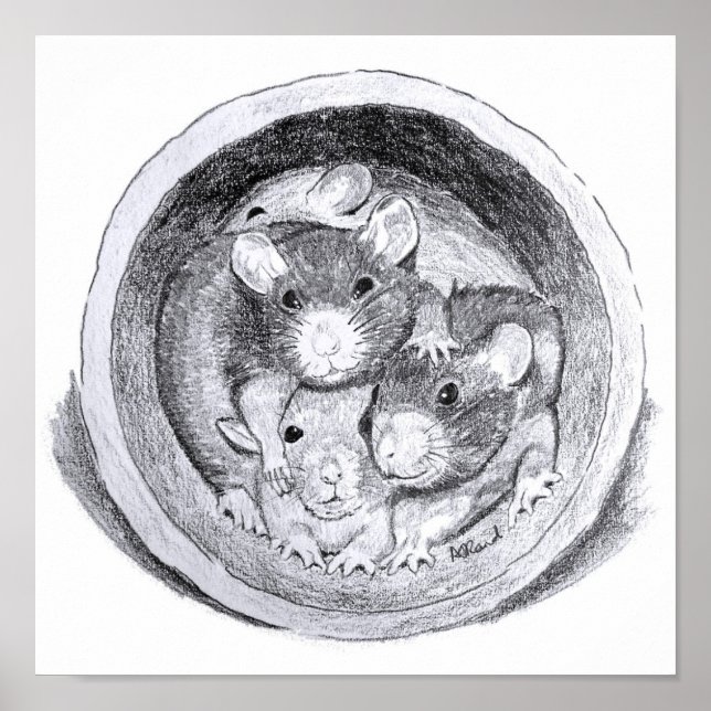 Póster Ratas de tubo (Frente)