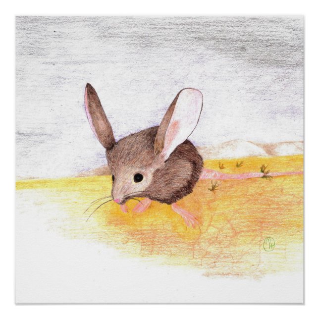 Póster Ratón seco (Anverso)